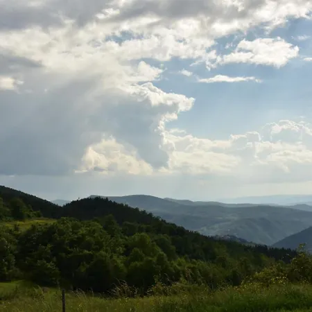 Kucica Od Drveta 1 * Kopaonik