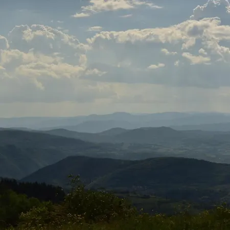 Kucica Od Drveta 1