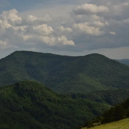 Semesterbostad Kucica Od Drveta 1 Kopaonik