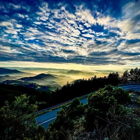 Kucica Od Drveta 1 Kopaonik