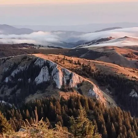 Kucica Od Drveta 1 בית נופש קופאוניק