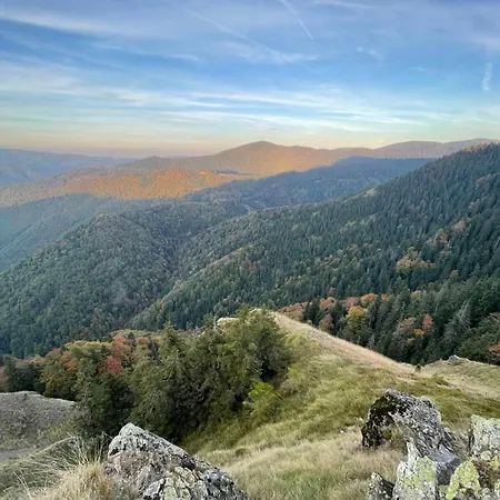 Kucica Od Drveta 1 * קופאוניק