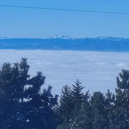 Semesterbostad Kucica Od Drveta 1 Kopaonik