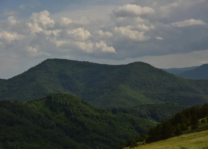 펜션 Kucica Od Drveta 1 카파오닉