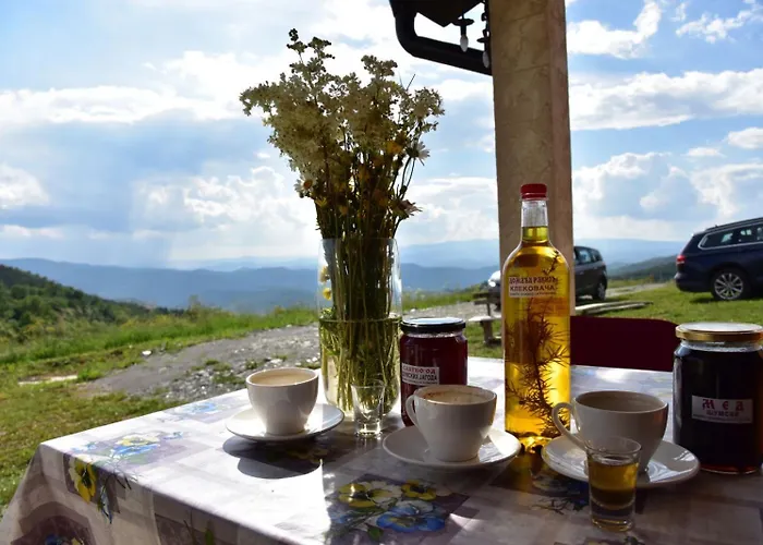 펜션 Kucica Od Drveta 1 *