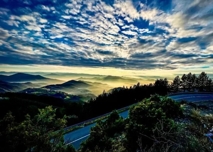 Kucica Od Drveta 1 카파오닉