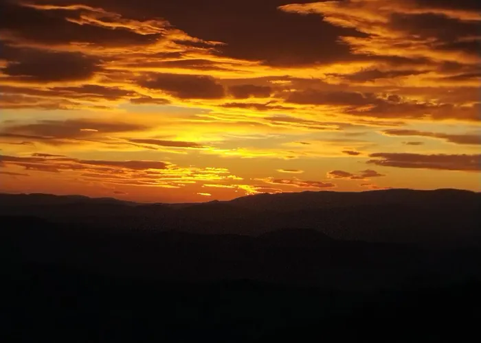 Kucica Od Drveta 1 *