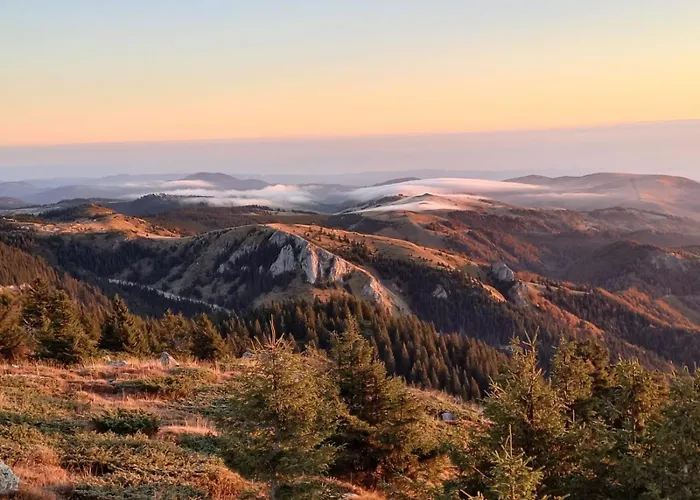 펜션 Kucica Od Drveta 1 *