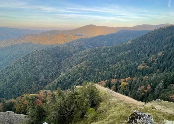 Kucica Od Drveta 1 * 카파오닉