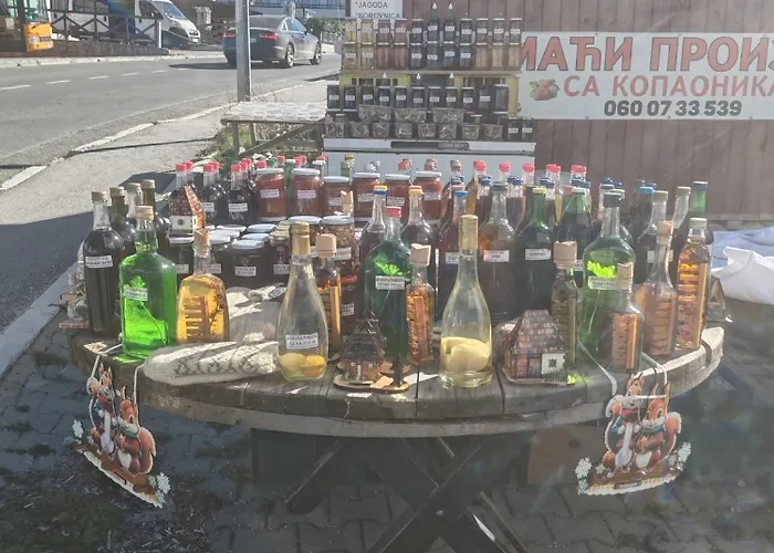 펜션 Kucica Od Drveta 1 *