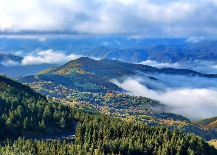 펜션 Kucica Od Drveta 1